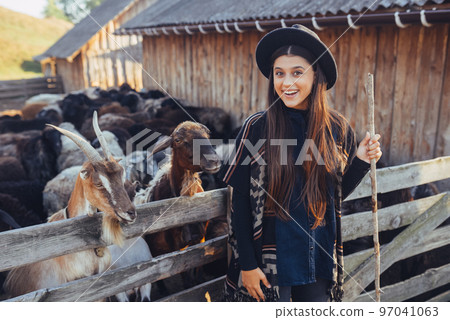 A young beautiful woman near a pen with goats A young beautiful woman near a pen with goats 97041063