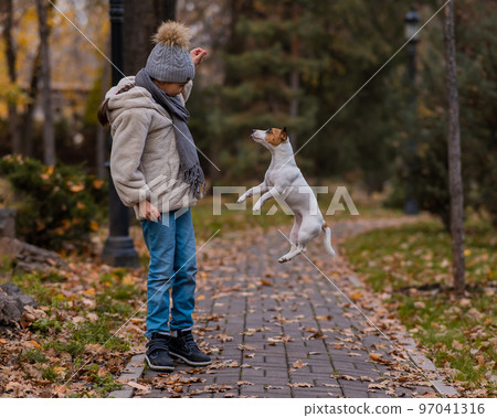 Caucasian girl playing with a dog for a walk in the autumn park. Caucasian girl playing with a dog for a walk in the autumn park. 97041316
