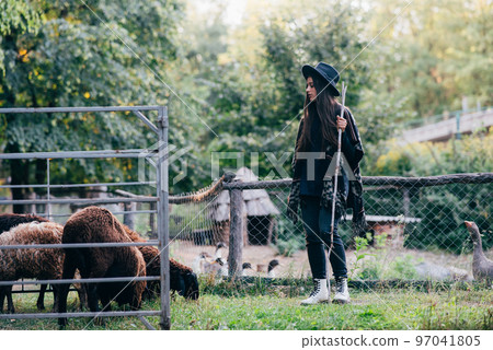 Young woman near a pen with sheep on a farm 97041805