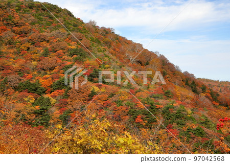 福島縣二本松市 從安多良山的吉普車小道上眺望紅葉 福島縣二本松市 從安多良山的吉普車小道上眺望紅葉 97042568