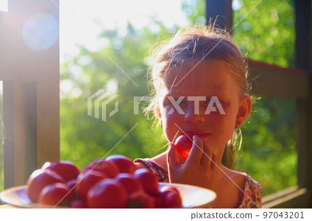 The little girl is sitting at a table on a verandah and eatting fresh tomatoes The little girl is sitting at a table on a verandah and eatting fresh tomatoes 97043201