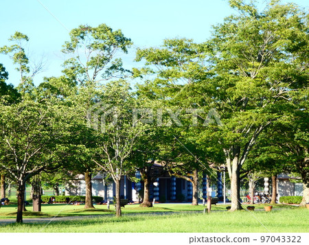 綜合體育公園 綜合體育公園 97043322
