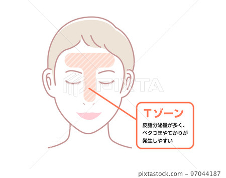 面部皮脂分泌高的部位（T區）示意圖 97044187