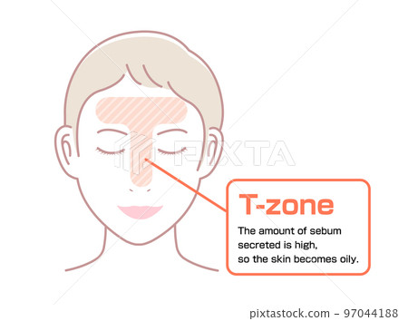面部皮脂分泌高的部位（T區）圖解/英文 97044188