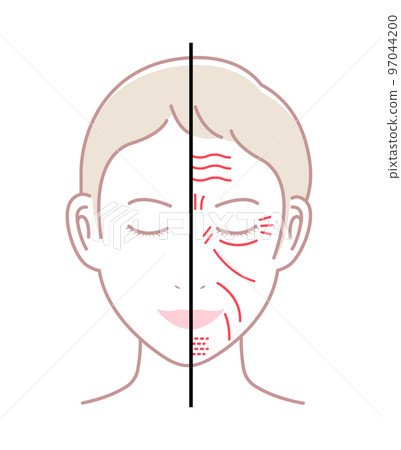 女人臉上的皺紋(位置和名稱)矢量圖/無字符 女人臉上的皺紋(位置和名稱)矢量圖/無字符 97044200