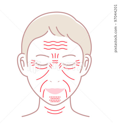 女人臉上的皺紋(位置和名稱)矢量圖/無字符 女人臉上的皺紋(位置和名稱)矢量圖/無字符 97044201