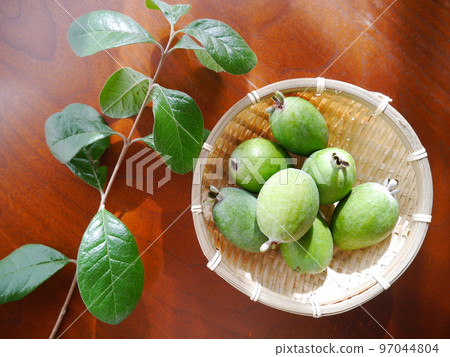Fresh feijoa 97044804