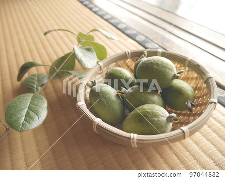 Fresh feijoa Fresh feijoa 97044882