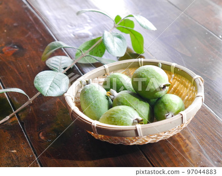 Fresh feijoa Fresh feijoa 97044883