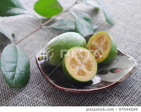 新鮮的費喬 97044889