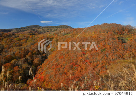 Inawashiro Town, Yama District, Fukushima Prefecture Autumn leaves viewed from the Bandai Azuma Skyline Kunimidai parking lot 97044915