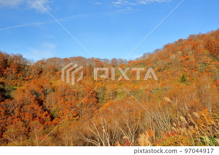 Inawashiro Town, Yama District, Fukushima Prefecture Autumn leaves viewed from the Bandai Azuma Skyline Kunimidai parking lot 97044917