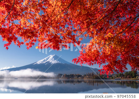 [Yamanashi Prefecture] Autumn Mt. Fuji/Autumn foliage arch 97045558