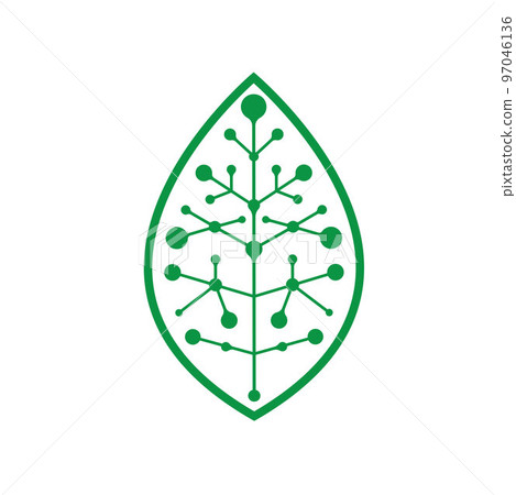 leaf molecule technology icon vector illustration concept design template 97046136