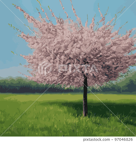 Realistic sakura tree. Elegant Japanese character. Flowering plant with pink flower petals on a green meadow. Asian cultural symbol. Floral spring decoration design. Vector illustration. Realistic sakura tree. Elegant Japanese character. Flowering plant with pink flower petals on a green meadow. Asian cultural symbol. Floral spring decoration design. Vector illustration. 97046826