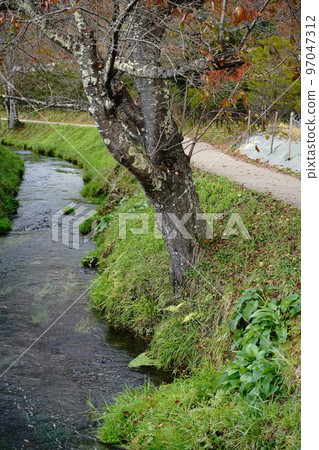 Oshino Hakkai, Oshino Hakai, Yamanashi Prefecture, Oshino Village, Springs, Mt. Fuji, Underwater, Mt. Shakushi, Mt. Ishiwari, 97047312