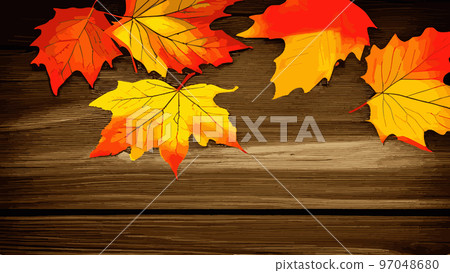 Autumn template, Oak, maple, wild ash leaves vector, fall foliage on background. Red gold yellow rowan and oak autumn leaves. Falling tree foliage cool october background graphic. 97048680