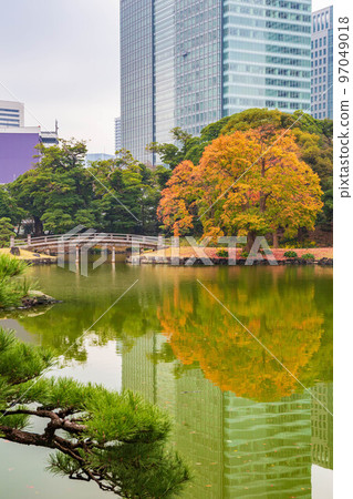 Autumn in Tokyo, Hama-rikyu Gardens with autumn leaves Autumn in Tokyo, Hama-rikyu Gardens with autumn leaves 97049018