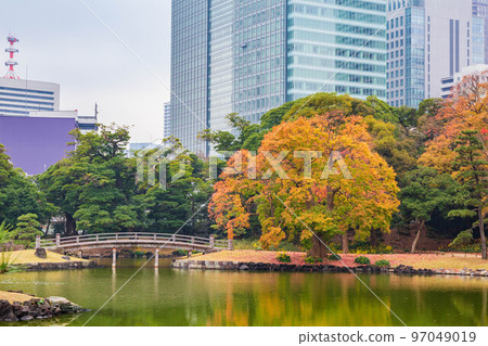 Autumn in Tokyo, Hama-rikyu Gardens with autumn leaves Autumn in Tokyo, Hama-rikyu Gardens with autumn leaves 97049019