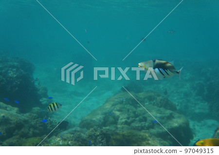 The sea of Okinawa The sea of Okinawa 97049315