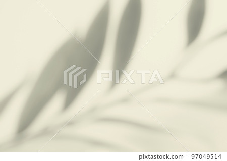 plant shadow rendering plant shadow rendering 97049514