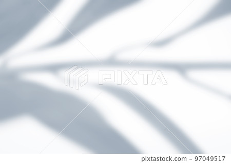 plant shadow rendering 97049517