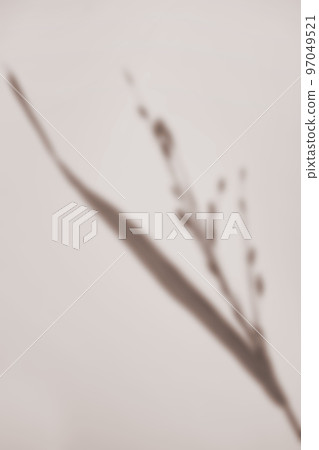 plant shadow rendering 97049521