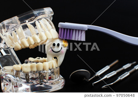 Dentist dental prosthetic teeth, gums, roots close-up. Studying dental diseases concept 97050648