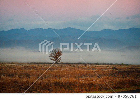 晨景（渡良瀨水庫） 97050761