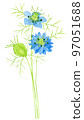 blue nigella flower watercolor 97051688