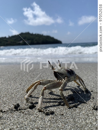 海灘上的螃蟹微明 97052038