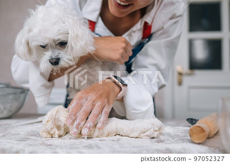 Woman in the kitchen kneads the dough with her dog 97052327