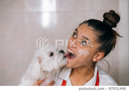Smiling woman in kitchen holding cute white Maltese dog Smiling woman in kitchen holding cute white Maltese dog 97052490