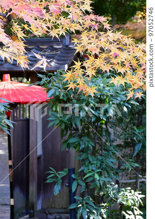 Ohmeian in late autumn Ohmeian in late autumn 97052746