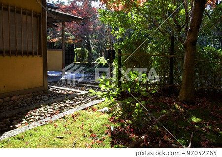 Ohmeian in late autumn 97052765