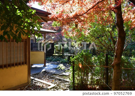Ohmeian in late autumn 97052769