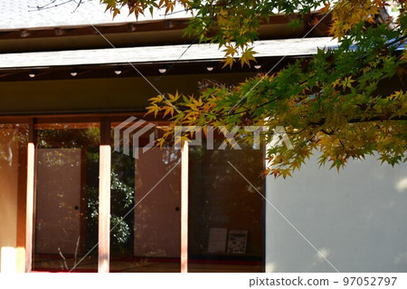 Ohmeian in late autumn 97052797