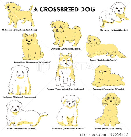 Cute popular mixed dog hand-drawn line drawing vector illustration set 97054302