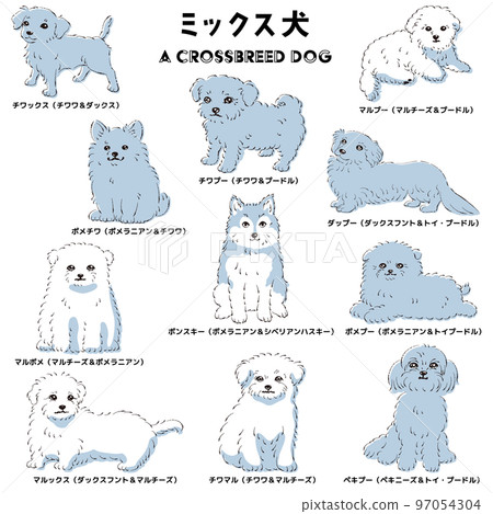 可愛流行的混合狗手繪線描矢量插圖集 97054304