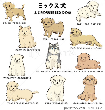 可愛流行的混合狗手繪線描矢量插圖集 97054334
