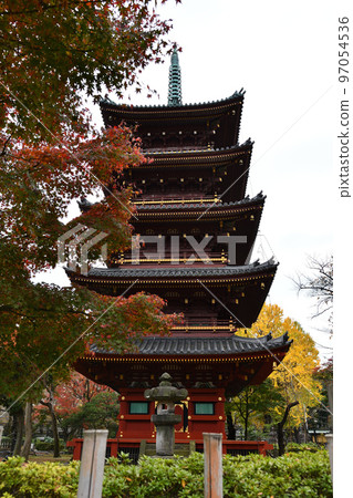 Autumnal leaves and five-storied pagoda Autumnal leaves and five-storied pagoda 97054536