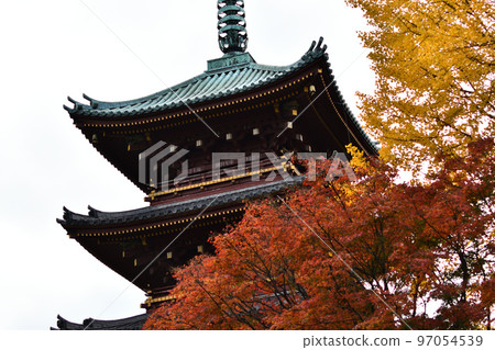 Autumnal leaves and five-storied pagoda Autumnal leaves and five-storied pagoda 97054539