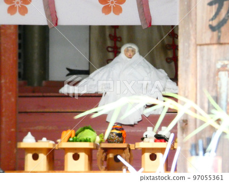 今花櫻矢姬 97055361