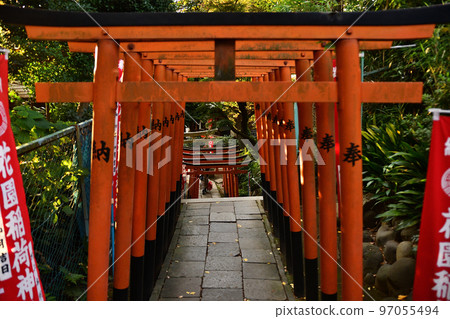 Landscape with torii gates 97055494
