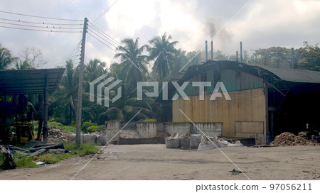 waste disposal in jungle surounded by palm tree waste disposal in jungle surounded by palm tree 97056211