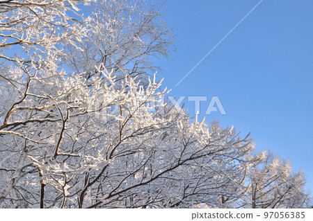 Early winter beauty Christmas image 8 Early winter beauty Christmas image 8 97056385