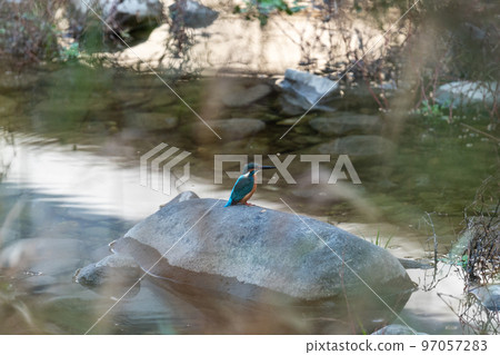 Kingfisher Kingfisher 97057283