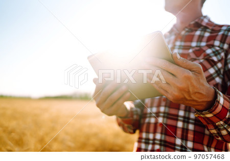 Tablet in the hands of a farmer. Smart farm. Farmer checking his crops on an agricultural field. 97057468