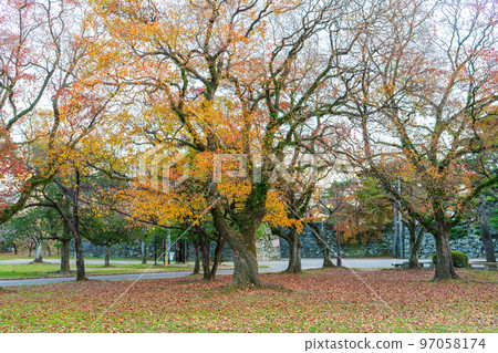 [紅葉]秋天的德島中央公園 97058174