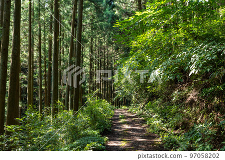 井原山（福岡縣～佐賀縣） 97058202